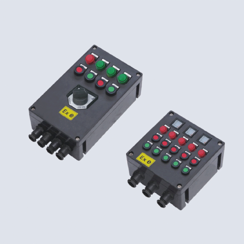 BXK8050-系列防爆防腐控制箱(IIC、 ExtD)