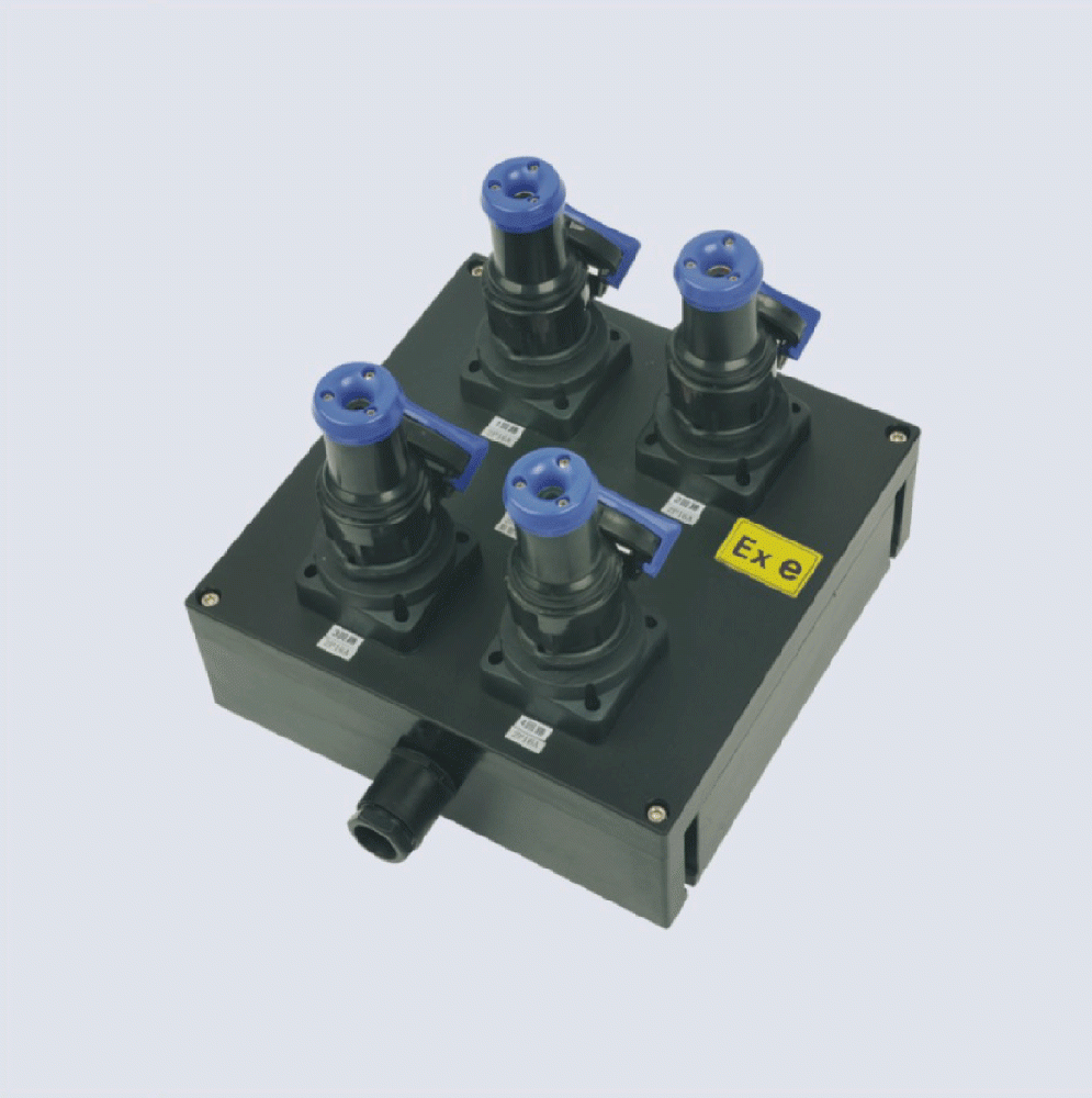 BXX8050-系列防爆防腐檢修電源插座箱(IIC、 ExtD)