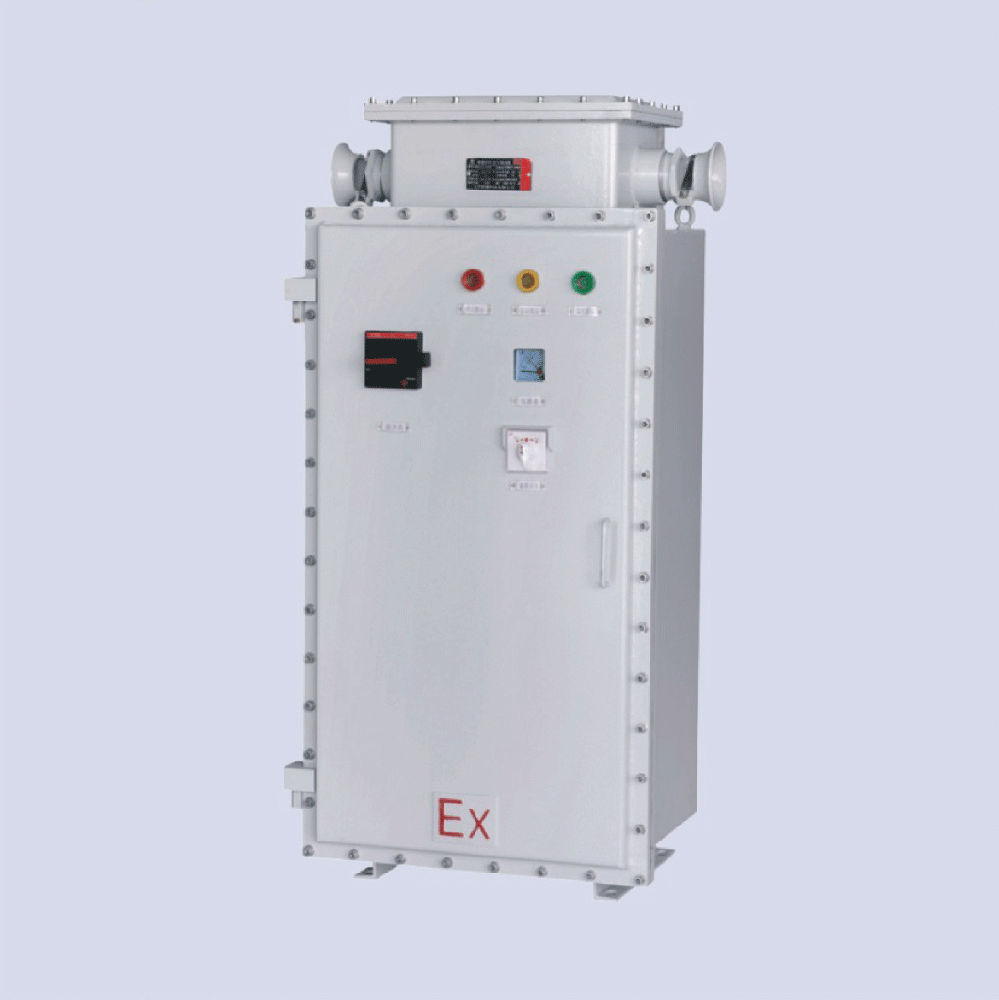 BQXB-系列防爆變頻調(diào)速器(IIB、 ExtD)